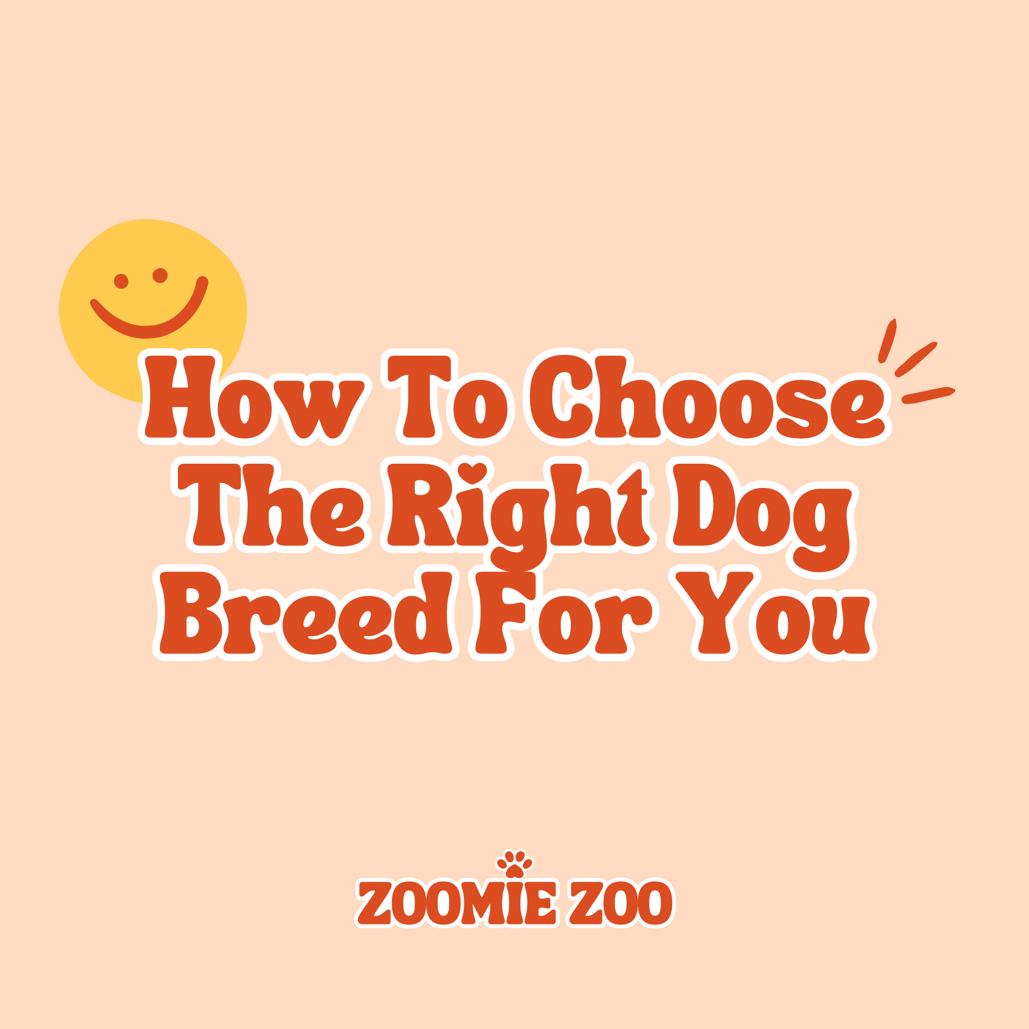 How to Choose the Right Dog Breed for You: A Fun &amp; Practical Guide!