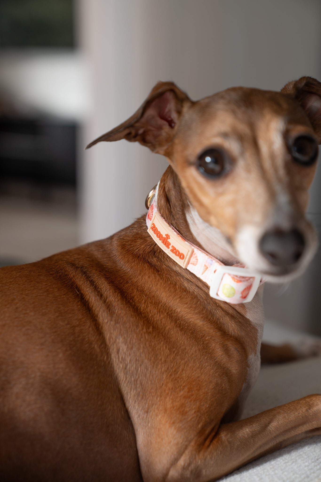 Collars