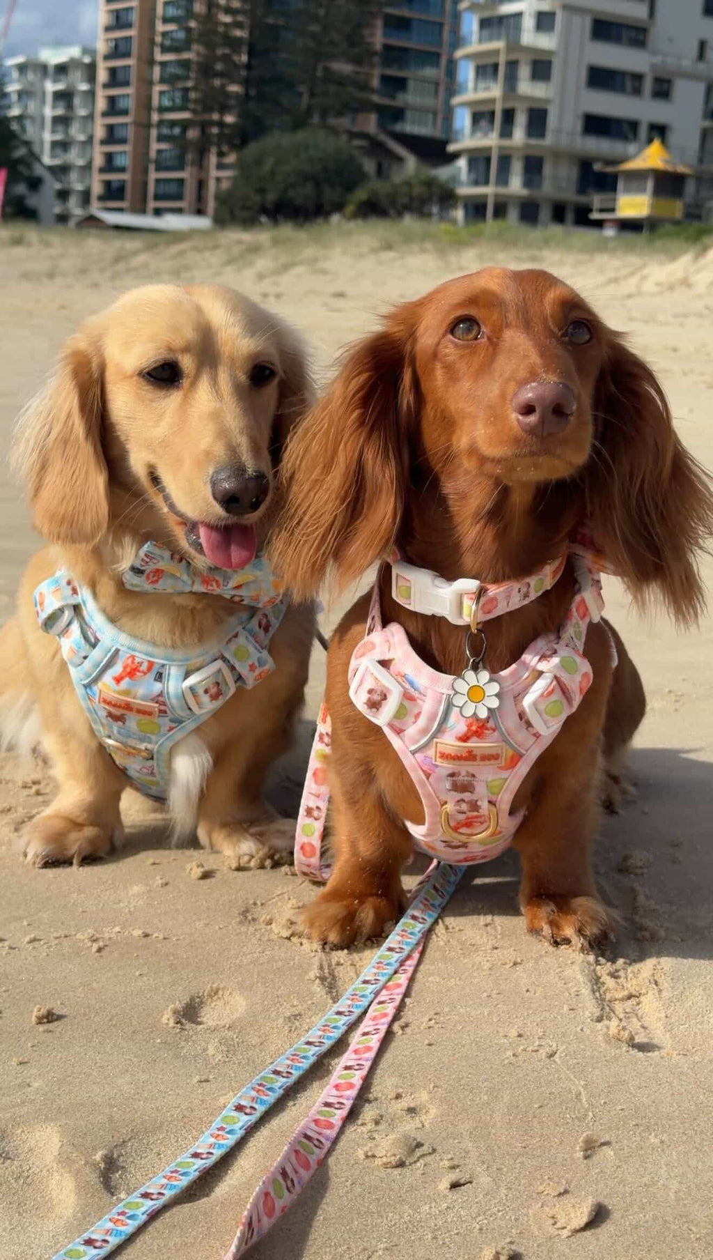 Paws in Positano Dog Adventure Harness – Adjustable No-Pull – Pink