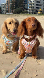 Paws in Positano Dog Adventure Harness – Adjustable No-Pull – Pink