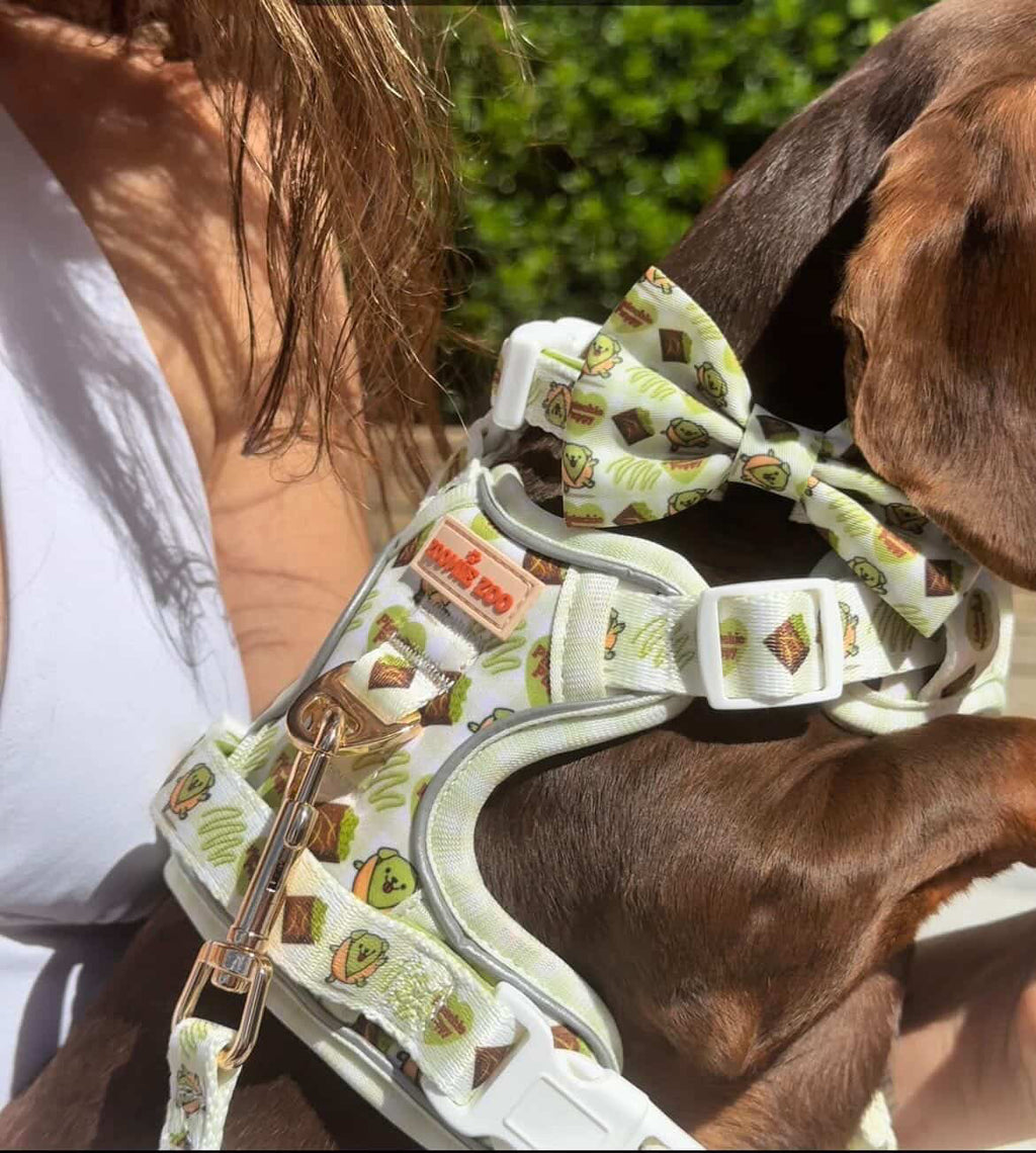 Pistachio Puppy Dog Adventure Harness – Adjustable No-Pull