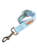 Paws in Positano Walkies & Car Bundle - Blue (Save $10)