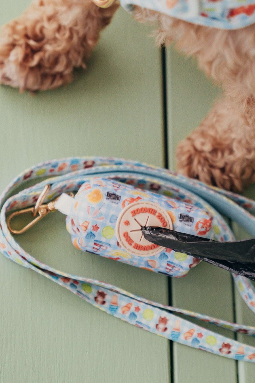 Dog leash and poop bag holder with colorful Paws in Positano print and a small Cavoodle dog in the background