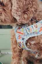 Brown dog wearing a colorful harness with cartoon designs on a light green background